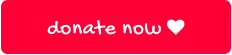 donate now 