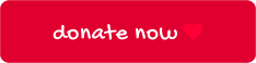 donate now 