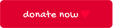 donate now 