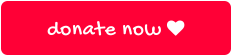 donate now 