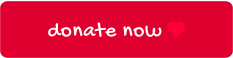 donate now 
